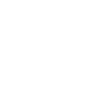 NEOSuccessWhite